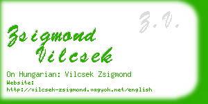 zsigmond vilcsek business card